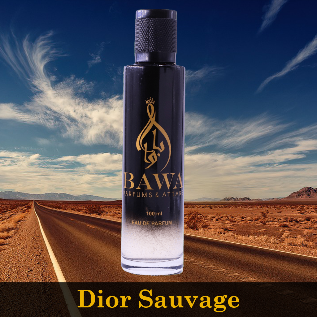 Dior sauvage edp 100ml price online