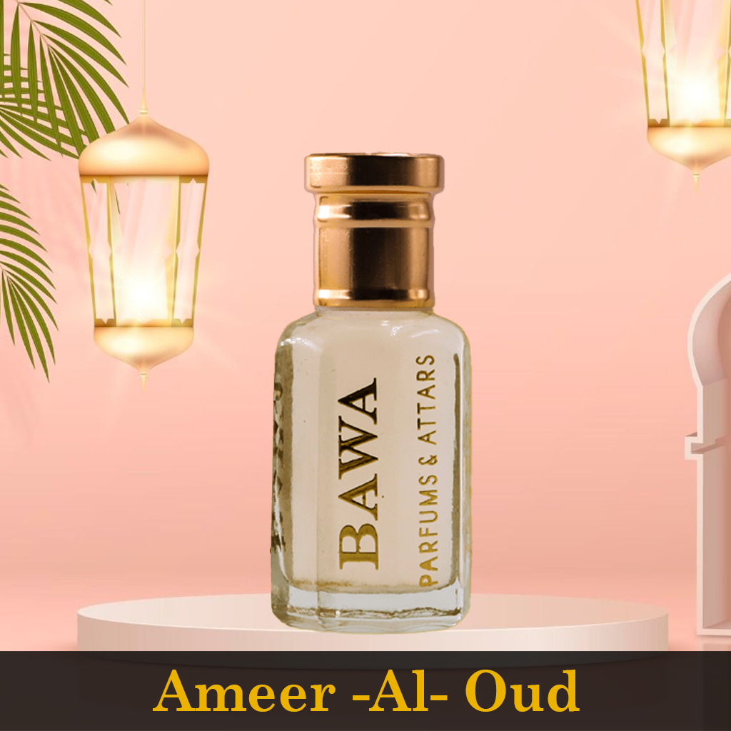 Ameer -Al- Oud