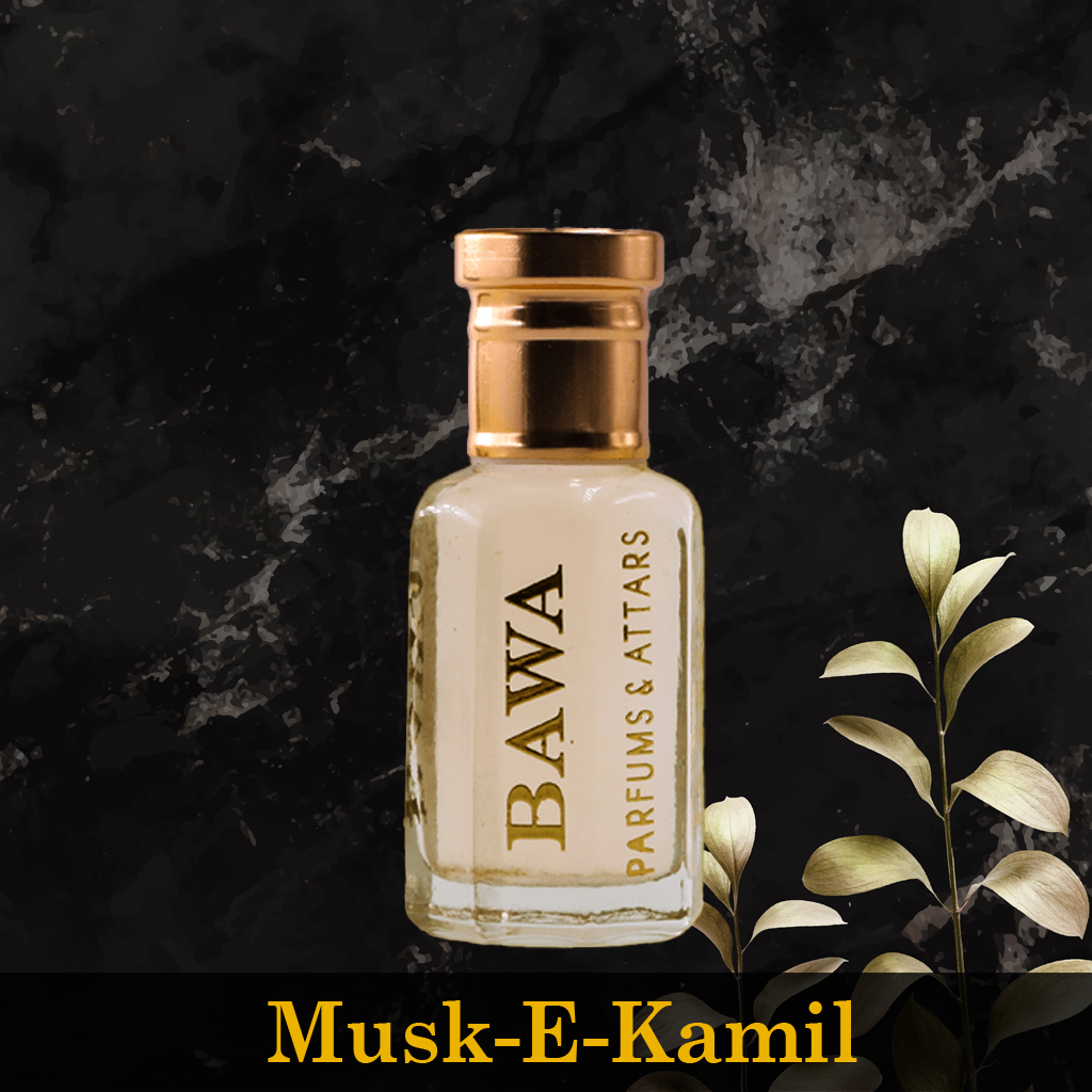 Musk -E- Kamil