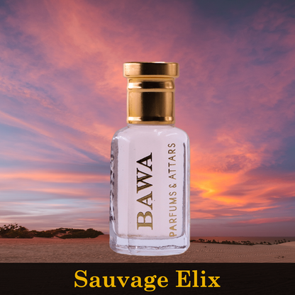 Sauvage Elix